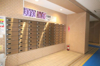 ̑p@p@Gx[^[ɖhƃJZLeB