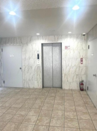 �@���p����