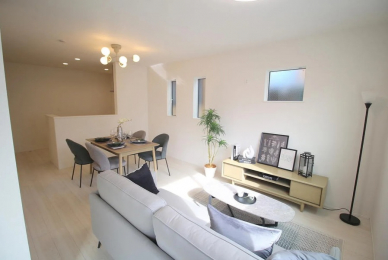 �W����/�V���E���[���@-