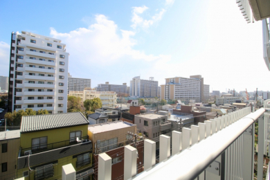 �Z�˂���̒��]�ʐ^�@-