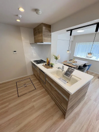 �{�H��ʐ^�@-